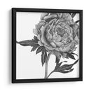 Flores En Gris Ii - Melissa Wang | Cuadro decorativo de Canvas Lab