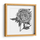 Flores En Gris Ii - Melissa Wang | Cuadro decorativo de Canvas Lab