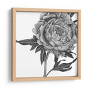 Flores En Gris Ii - Melissa Wang | Cuadro decorativo de Canvas Lab