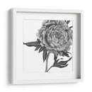 Flores En Gris Ii - Melissa Wang | Cuadro decorativo de Canvas Lab