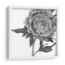 Flores En Gris Ii - Melissa Wang | Cuadro decorativo de Canvas Lab