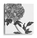 Flores En Gris Iii - Melissa Wang | Cuadro decorativo de Canvas Lab