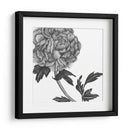 Flores En Gris Iii - Melissa Wang | Cuadro decorativo de Canvas Lab