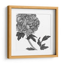 Flores En Gris Iii - Melissa Wang | Cuadro decorativo de Canvas Lab