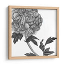 Flores En Gris Iii - Melissa Wang | Cuadro decorativo de Canvas Lab