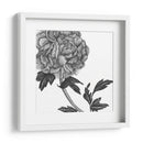 Flores En Gris Iii - Melissa Wang | Cuadro decorativo de Canvas Lab