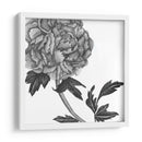 Flores En Gris Iii - Melissa Wang | Cuadro decorativo de Canvas Lab