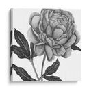 Flores En Gris Iv - Melissa Wang | Cuadro decorativo de Canvas Lab