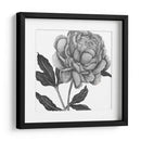 Flores En Gris Iv - Melissa Wang | Cuadro decorativo de Canvas Lab