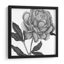 Flores En Gris Iv - Melissa Wang | Cuadro decorativo de Canvas Lab