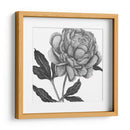 Flores En Gris Iv - Melissa Wang | Cuadro decorativo de Canvas Lab