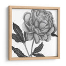 Flores En Gris Iv - Melissa Wang | Cuadro decorativo de Canvas Lab