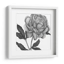 Flores En Gris Iv - Melissa Wang | Cuadro decorativo de Canvas Lab