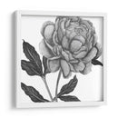 Flores En Gris Iv - Melissa Wang | Cuadro decorativo de Canvas Lab