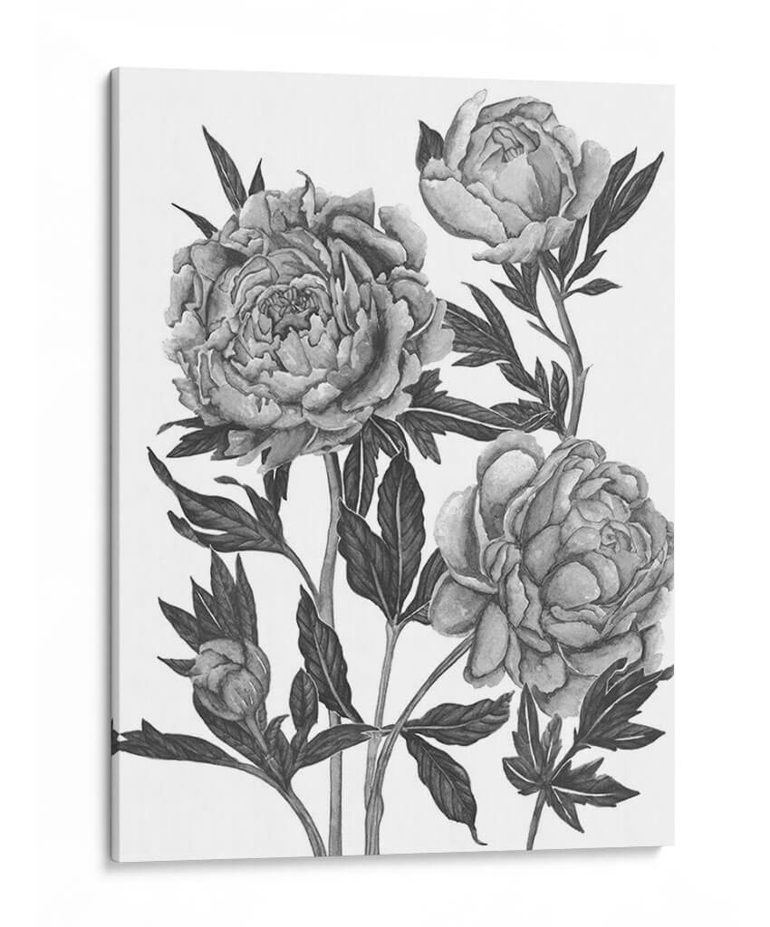 Flores En Gris V - Melissa Wang | Cuadro decorativo de Canvas Lab