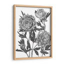 Flores En Gris V - Melissa Wang | Cuadro decorativo de Canvas Lab