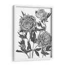 Flores En Gris V - Melissa Wang | Cuadro decorativo de Canvas Lab