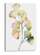 Maidenhair Branch I - Grace Popp | Cuadro decorativo de Canvas Lab