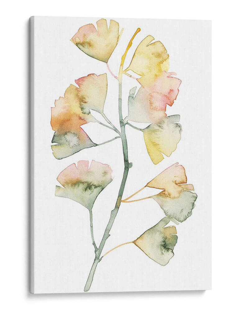 Maidenhair Branch Ii - Grace Popp | Cuadro decorativo de Canvas Lab