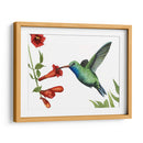 Colibrí Y Flor I - Grace Popp | Cuadro decorativo de Canvas Lab