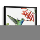 Colibrí Y Flor Ii - Grace Popp | Cuadro decorativo de Canvas Lab