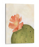 Arid Bloom I - Emma Scarvey | Cuadro decorativo de Canvas Lab