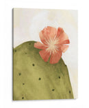 Arid Bloom Ii - Emma Scarvey | Cuadro decorativo de Canvas Lab