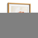 Arid Bloom Ii - Emma Scarvey | Cuadro decorativo de Canvas Lab