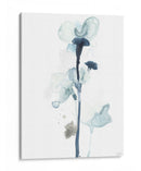 Blossoms De Medianoche I - June Erica Vess | Cuadro decorativo de Canvas Lab