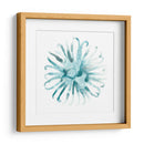 Ocean Cameo Ii - June Erica Vess | Cuadro decorativo de Canvas Lab