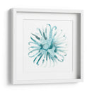 Ocean Cameo Ii - June Erica Vess | Cuadro decorativo de Canvas Lab