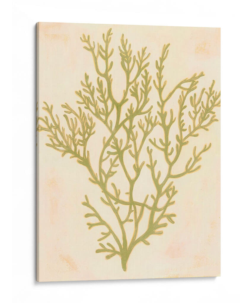 Coral De Mar Profundo I - Grace Popp | Cuadro decorativo de Canvas Lab