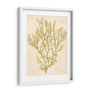 Coral De Mar Profundo I - Grace Popp | Cuadro decorativo de Canvas Lab