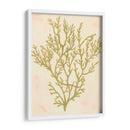 Coral De Mar Profundo I - Grace Popp | Cuadro decorativo de Canvas Lab