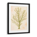 Coral De Mar Profundo Ii - Grace Popp | Cuadro decorativo de Canvas Lab