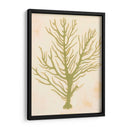 Coral De Mar Profundo Ii - Grace Popp | Cuadro decorativo de Canvas Lab