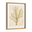 Coral De Mar Profundo Ii - Grace Popp | Cuadro decorativo de Canvas Lab