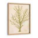 Coral De Mar Profundo Ii - Grace Popp | Cuadro decorativo de Canvas Lab