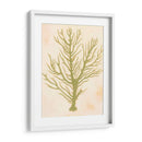 Coral De Mar Profundo Ii - Grace Popp | Cuadro decorativo de Canvas Lab