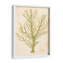 Coral De Mar Profundo Ii - Grace Popp | Cuadro decorativo de Canvas Lab