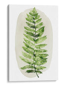 Spot Fern I - Grace Popp | Cuadro decorativo de Canvas Lab