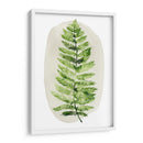 Spot Fern I - Grace Popp | Cuadro decorativo de Canvas Lab