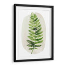 Spoy Fern Ii - Grace Popp | Cuadro decorativo de Canvas Lab
