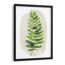 Spoy Fern Ii - Grace Popp | Cuadro decorativo de Canvas Lab