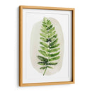 Spoy Fern Ii - Grace Popp | Cuadro decorativo de Canvas Lab