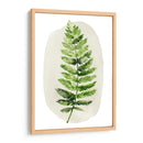 Spoy Fern Ii - Grace Popp | Cuadro decorativo de Canvas Lab