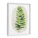 Spoy Fern Ii - Grace Popp | Cuadro decorativo de Canvas Lab