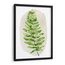 Spot Fern Iii - Grace Popp | Cuadro decorativo de Canvas Lab