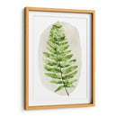 Spot Fern Iii - Grace Popp | Cuadro decorativo de Canvas Lab