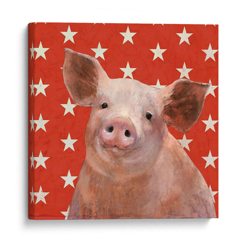 Patriotic Farm Iii - Victoria Borges | Cuadro decorativo de Canvas Lab